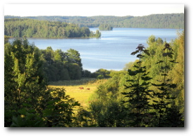 Beautiful Finland Farm and Lake Vista