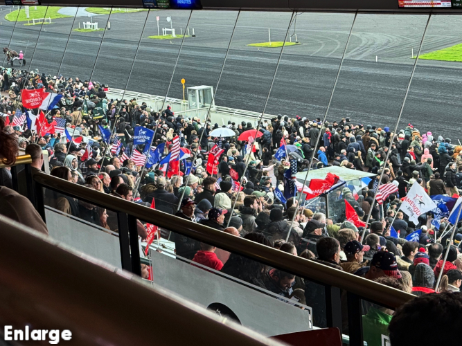 2025 Prix d'Amerique Crowd Waving Flags Photo of 2025 Prix d'Amerique Crowd Waving Flags