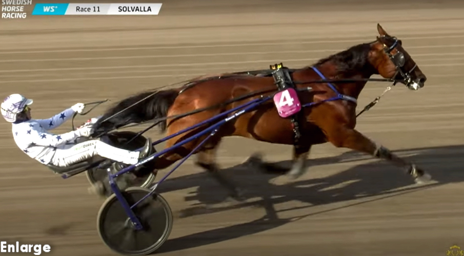 Go On Boy After Winning the Elitloppet Go On Boy After Winning the Elitloppet